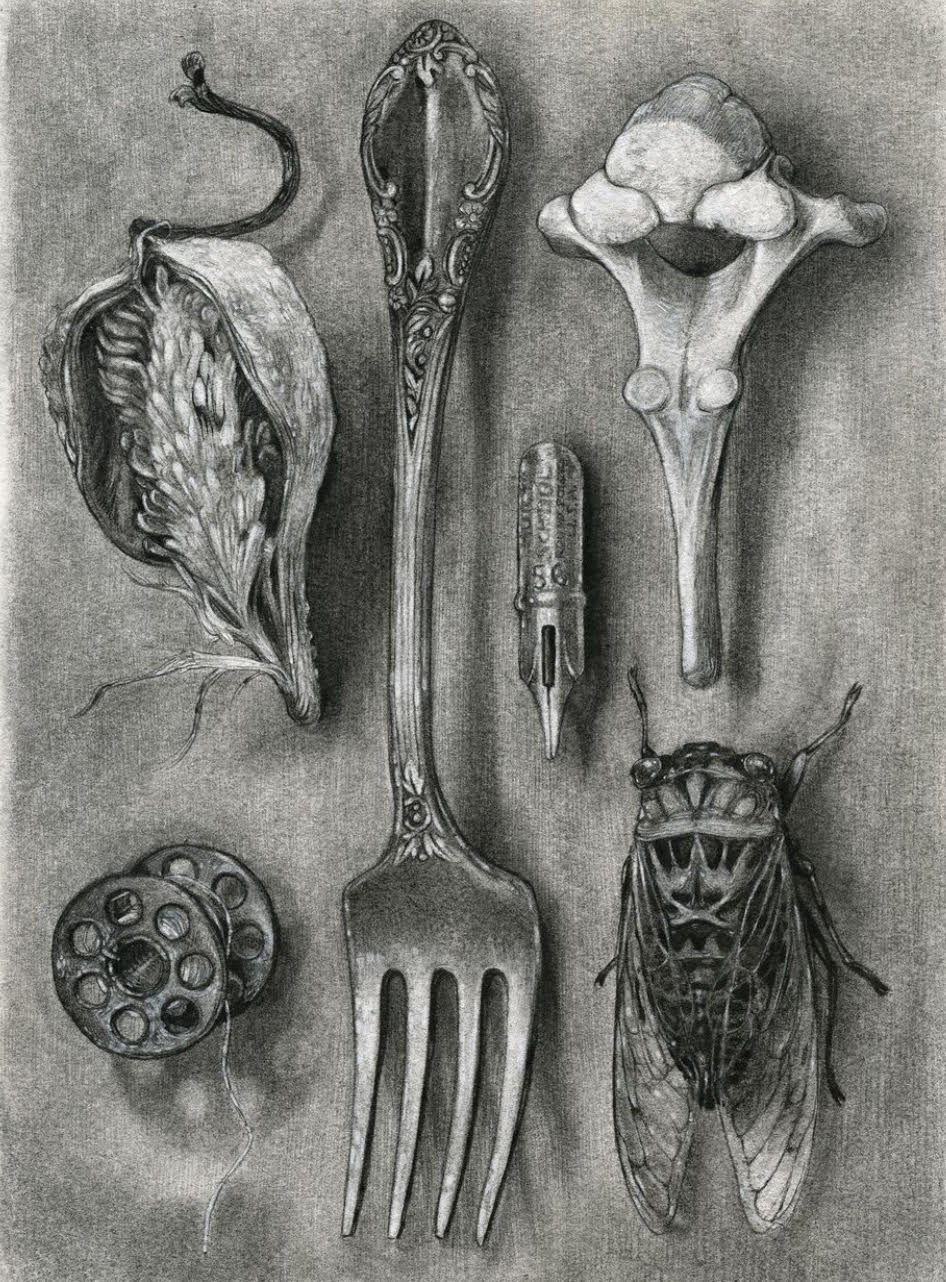 8.7.26  Charcoal: Lost & Found   August 7 @ 9:30am - 12:30pm