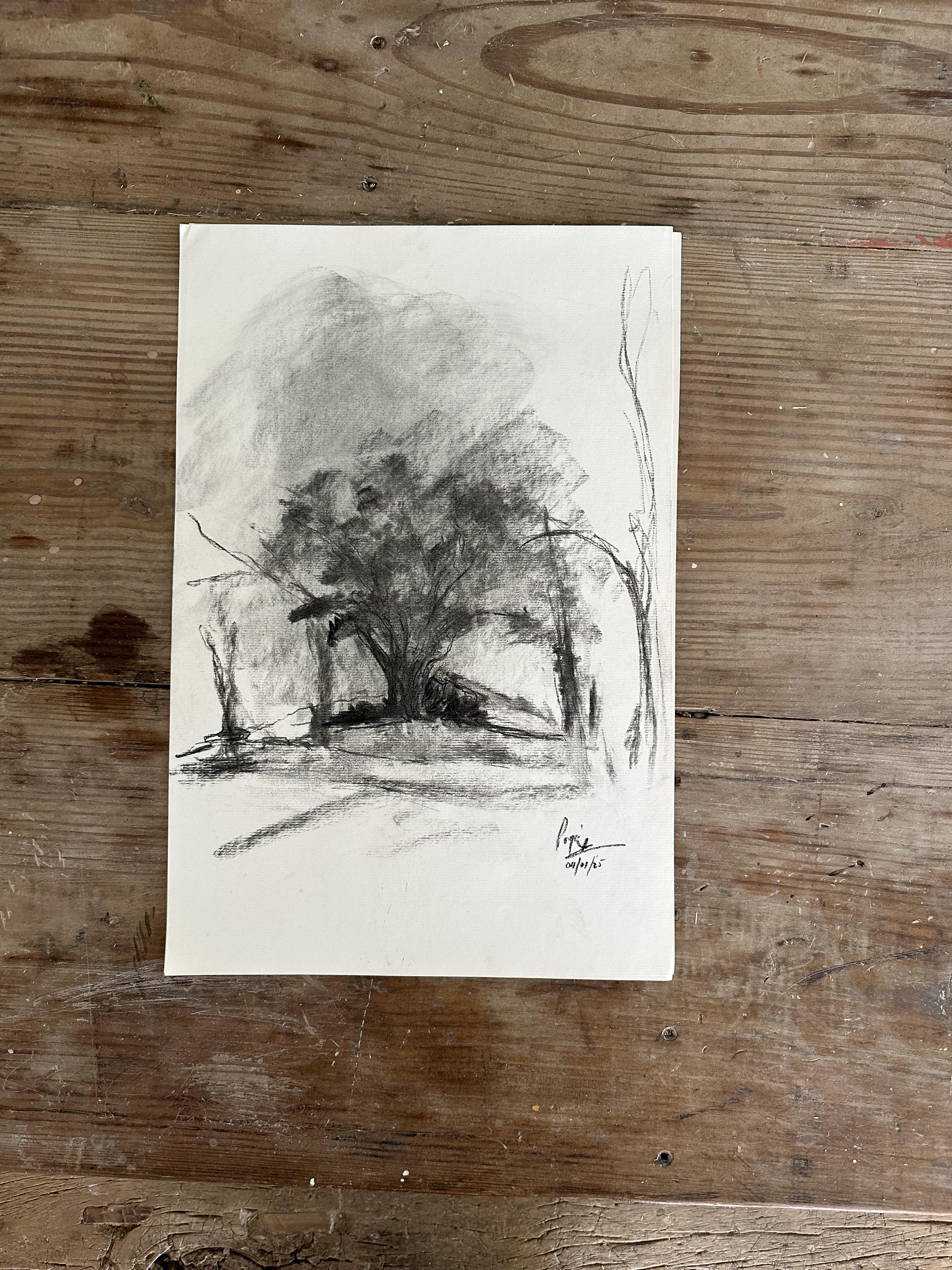 7.27.26 Charcoal: Trees  July 27 @ 5pm-8pm
