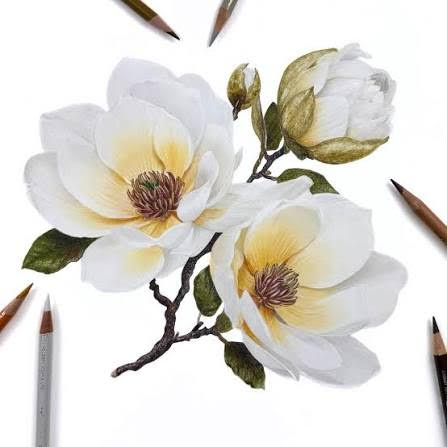 8.31.26  Color Pencil: White Florals   August 31 @ 5pm - 8pm
