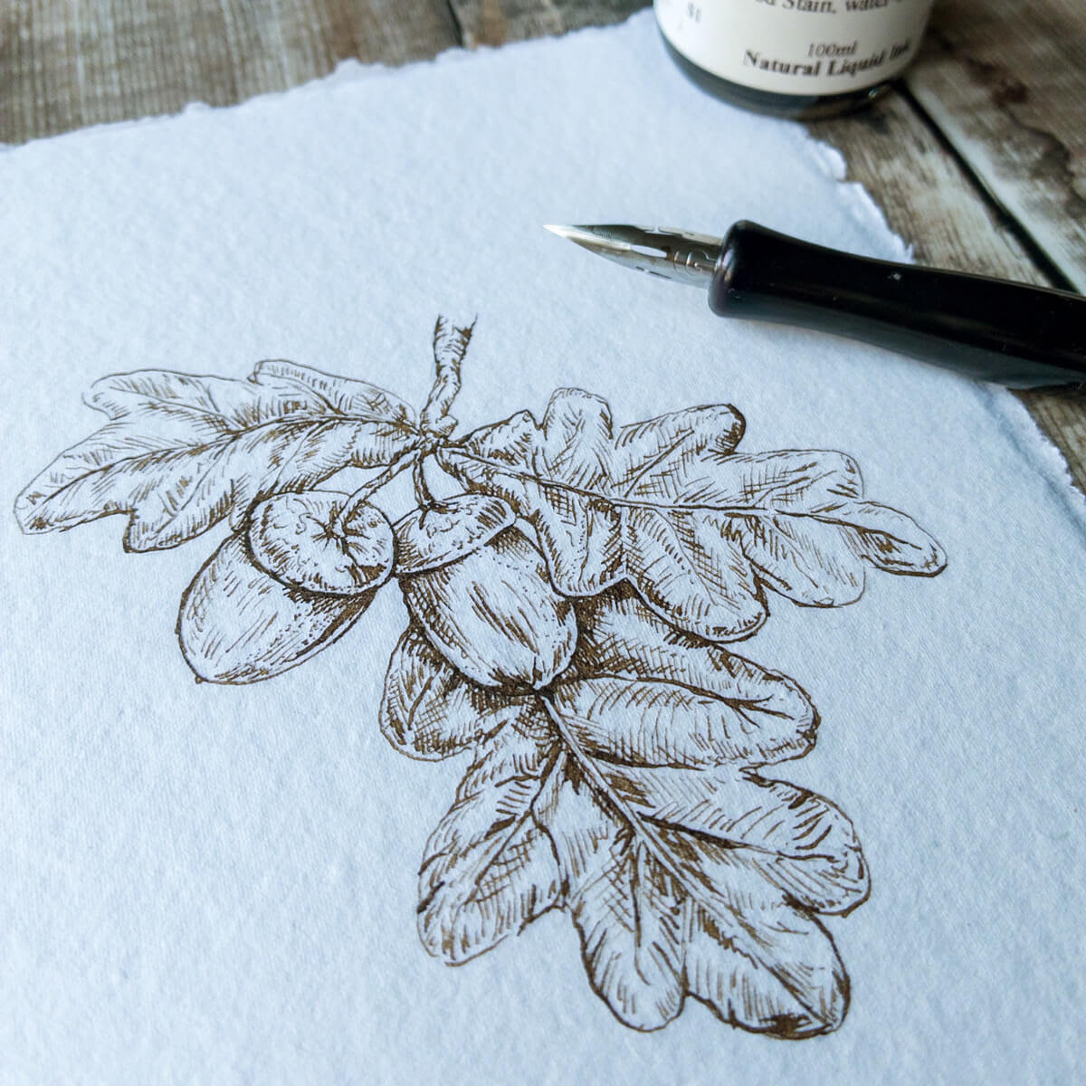 9.14.26  Fine Liner Pens: Botanical Studies  September 14 @ 5pm-8pm