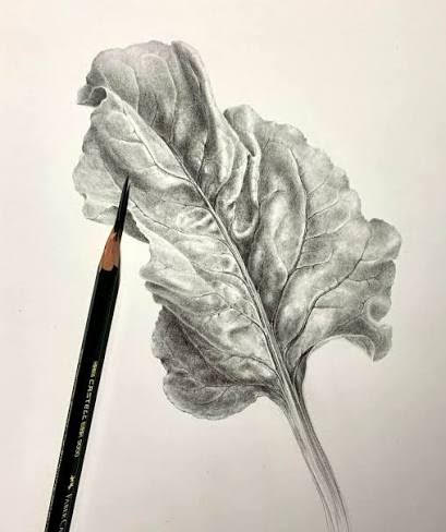 10.23.26  Graphite: Faded Leaves   October 23 @ 9:30am - 12:30pm