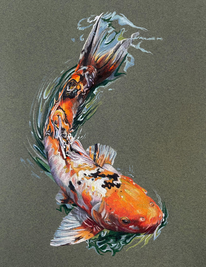 7.10.26 Koi & Color:   A Colored Pencil Drawing Class  July 10 @ 9:30am-12:30pm