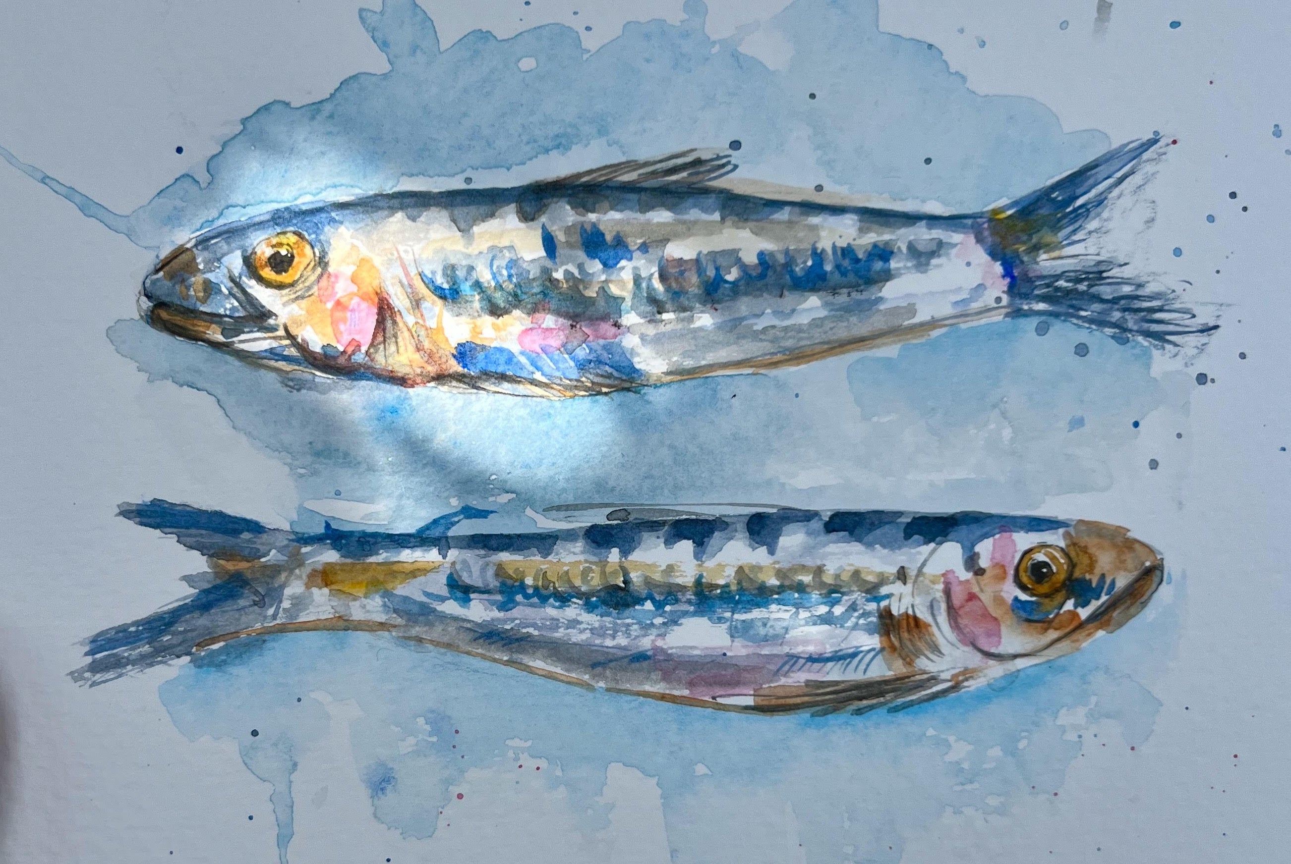 7.18.26 Large-Scale Fish Painting  July 18 @ 10am-12pm