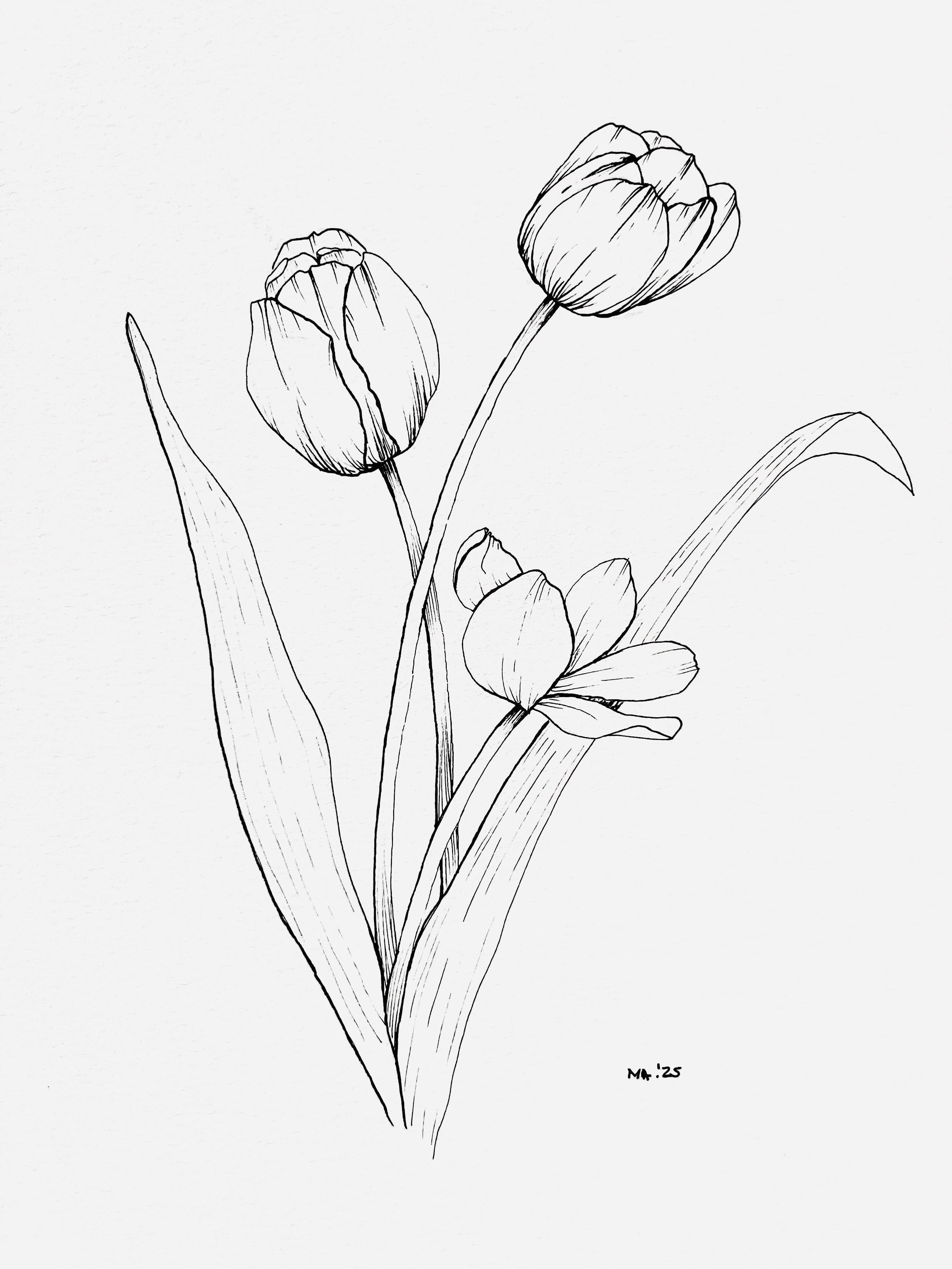 5.16.26 Learn To Draw 10 Different Flowers @ 10am - 1pm