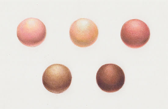 5.22.26 Skin Tones in Colored Pencil: Foundations May 22 @ 9:30-12:30pm