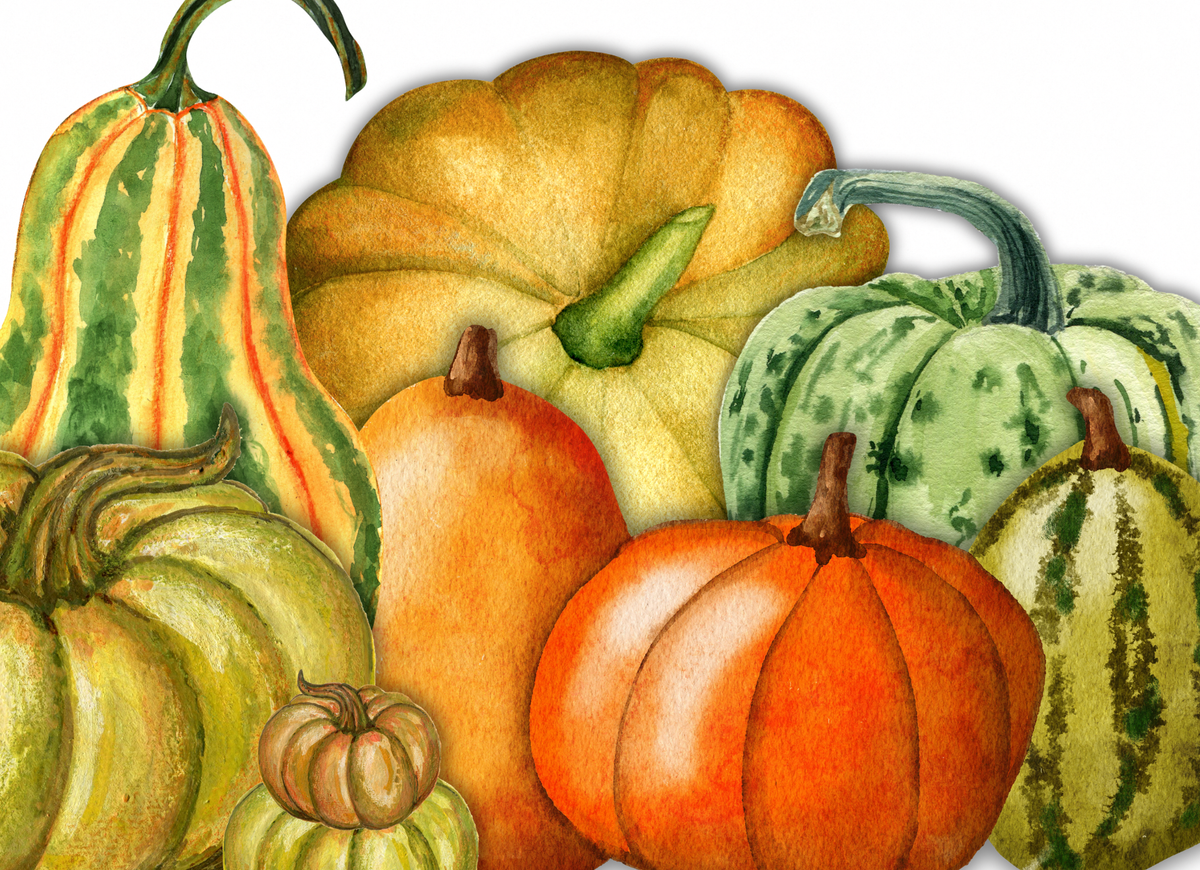10.18.26 Watercolor: Gourds  October 18 @ 10am - 1pm