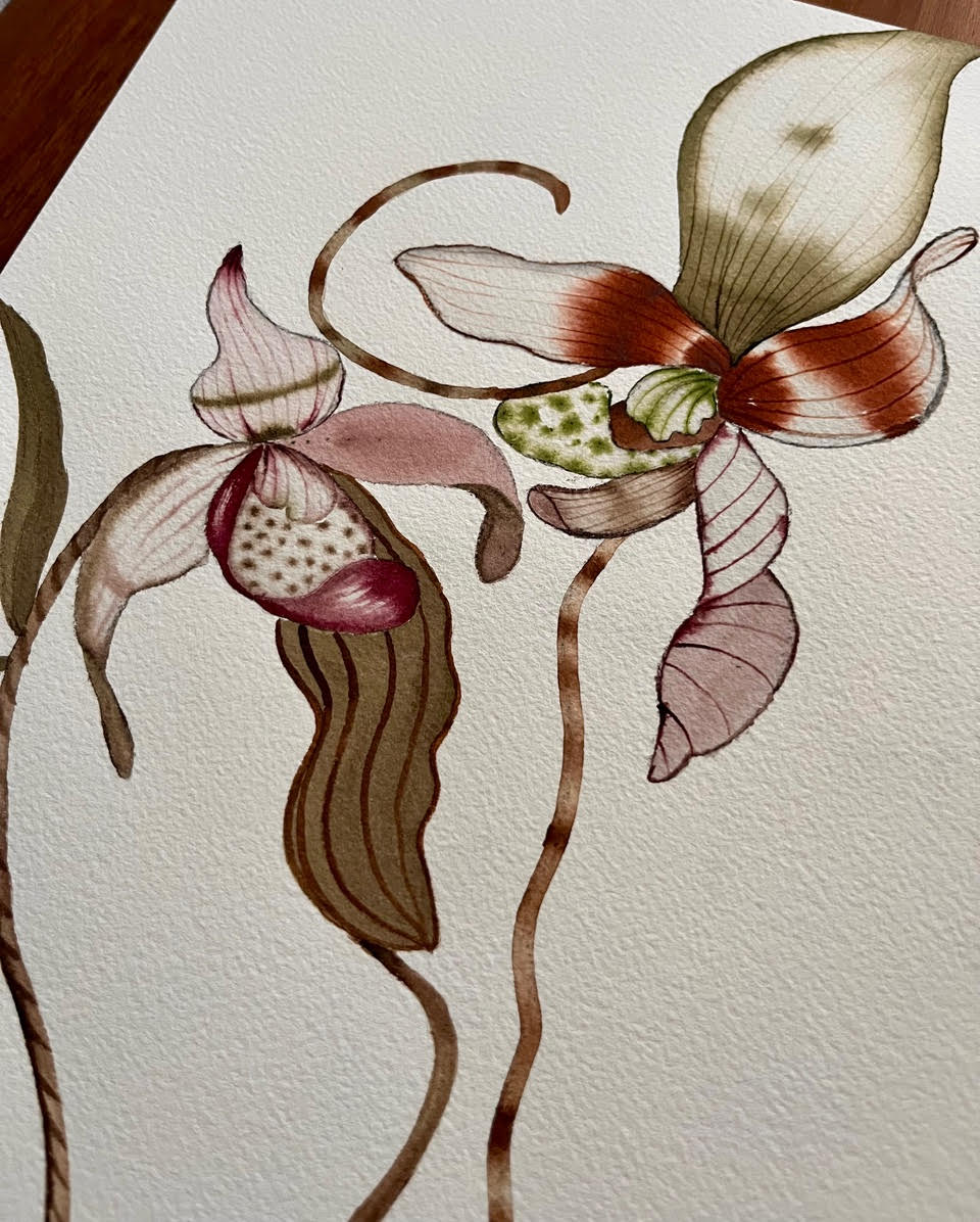 8.25.26 Watercolor: Orchids  August 25 @ 5:30pm - 7:30pm