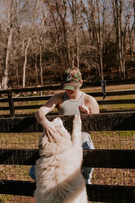 The Dad Hat - In 3 Colors