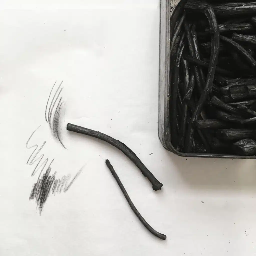 Negative Space with Branches — Charcoal
