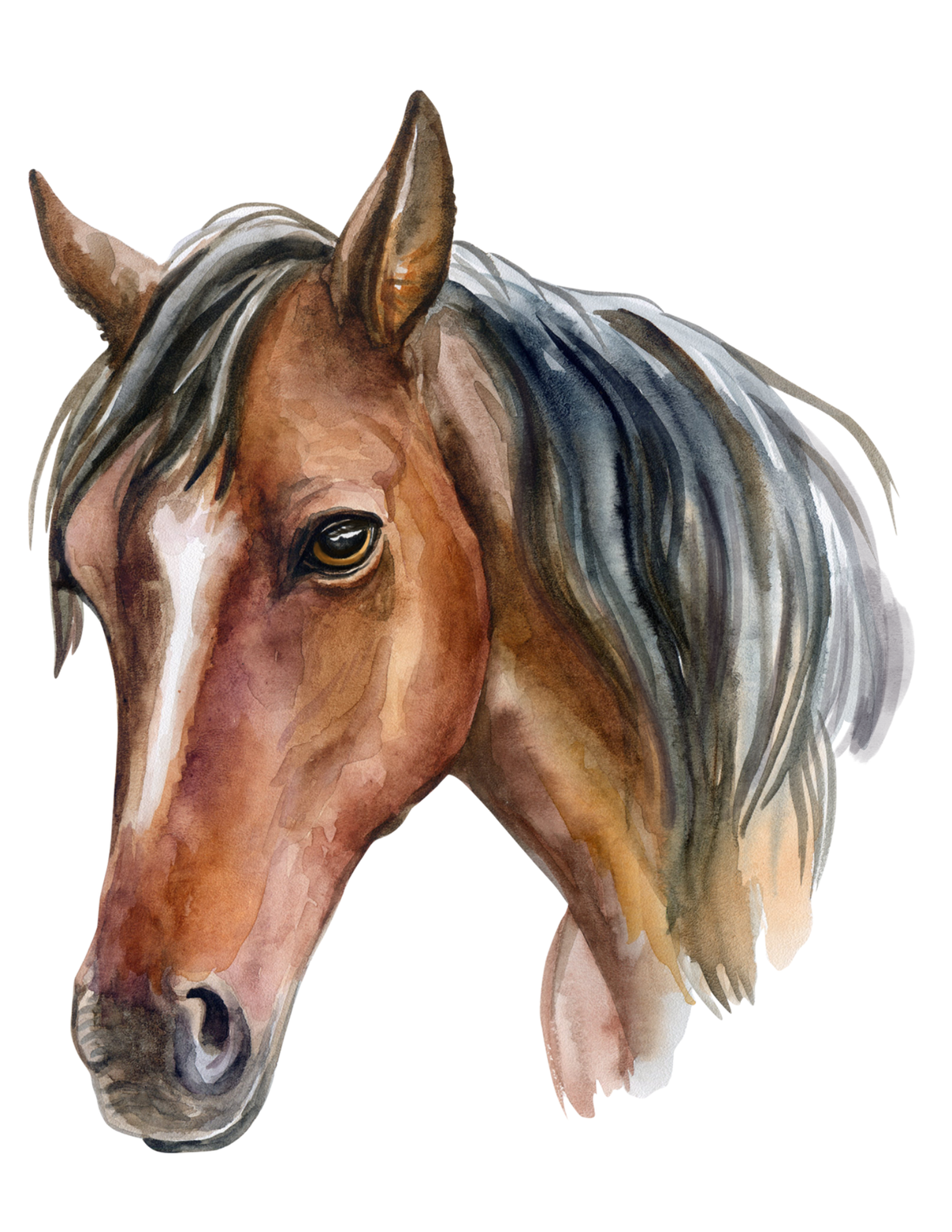 Watercolor: Horses